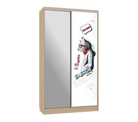  Шкаф-купе Рио 9-600 Энерджи, фото 1 