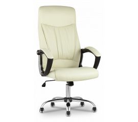  Кресло для руководителя TopChairs Tower, фото 1 
