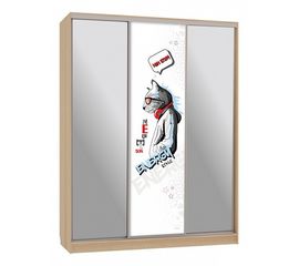  Шкаф-купе Бассо 9-600 энерджи, фото 1 