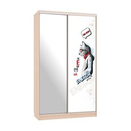  Шкаф-купе Рио 9-600 Энерджи, фото 1 