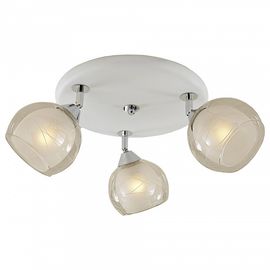  Спот Самба CL158131, фото 1 