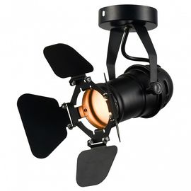  Спот Thornton LSP-9838, фото 1 