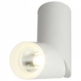  Спот Ultimo OML-100209-10, фото 1 