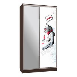  Шкаф-купе Рио 9-600 Энерджи, фото 1 