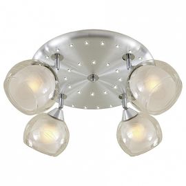  Спот Самба CL158142, фото 1 