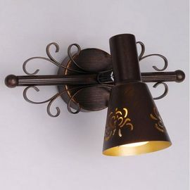  Спот Дункан CL529511, фото 1 