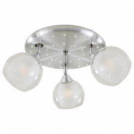  Спот Самба CL158132, фото 1 