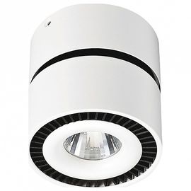  Спот Круз 637016701, фото 1 