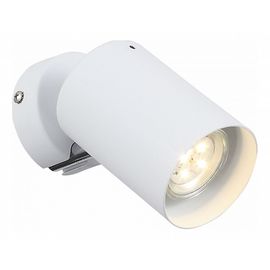  Спот Fanale SL597.501.01, фото 1 