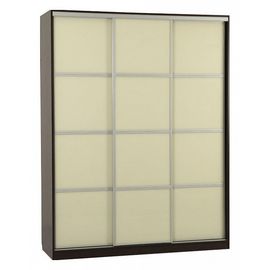  Шкаф-купе Бассо 2-600, фото 1 