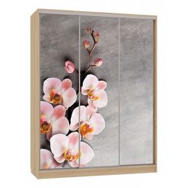  Шкаф-купе Бассо 7-600 78, фото 1 