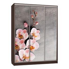  Шкаф-купе Бассо 7-600 78, фото 1 