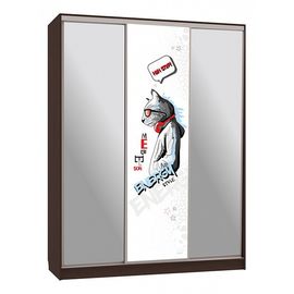  Шкаф-купе Бассо 9-600 энерджи, фото 1 