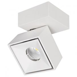  Спот Стамп CL558020N, фото 1 