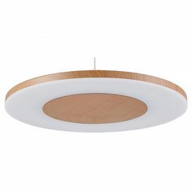  Подвесной светильник Discobolo 4493, фото 1 