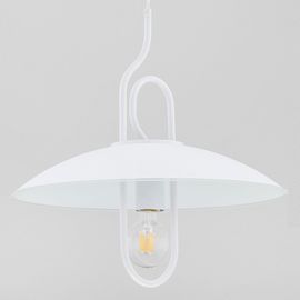  Подвесной светильник Chee 60625, фото 1 