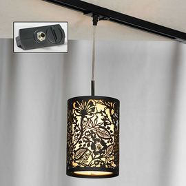  Подвесной светильник Vetere LSF-2376-01-TAB, фото 1 