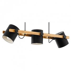  Подвесной светильник Hornwood 43045, фото 1 