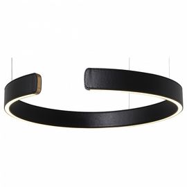  Подвесной светильник Ring 10025/400 Black, фото 1 