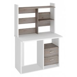  Стол компьютерный Домино Лайт СКЛ-Прям100+НКЛ-100, фото 1 