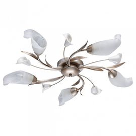  Потолочная люстра Восторг 19 242016205, фото 1 