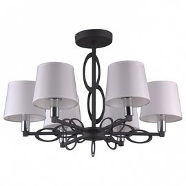  Люстра на штанге Reggello OML-64907-06, фото 1 