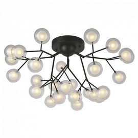  Потолочная люстра Ligamentum 2481-9U, фото 1 