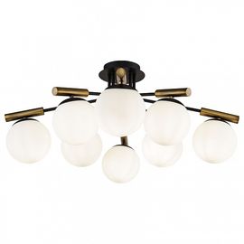  Потолочная люстра Paolina FR5011CL-08B, фото 1 