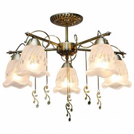  Потолочная люстра Delia TL1195X-05AB, фото 1 