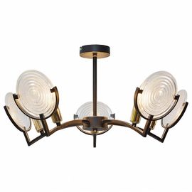  Потолочная люстра Roxana TL1194X-05BK, фото 1 