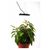  Светильник для растений FITO-50W-LED, фото 3 