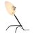  Настольная лампа декоративная Spruzzo SL305.404.01, фото 2 