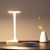  Настольная лампа декоративная Ceres 7290, фото 2 