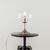  Настольная лампа декоративная Томми CL102811, фото 5 