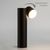  Настольная лампа декоративная Premier 80425/1 черный, фото 1 