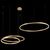  Подвесной светильник Ring 10017/3L, фото 2 