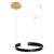  Подвесной светильник Ring 10025/400 Black, фото 2 