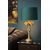  Настольная лампа декоративная Extravaganza Coconut 10505/81/02, фото 3 