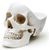  Органайзер (12.5х21.5х16 см) Skull SK TIDYSKULL1, фото 3 