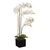  Растение в горшке (80 см) Белая орхидея YW-36, фото 3 