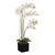  Растение в горшке (80 см) Белая орхидея YW-36, фото 1 
