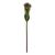  Цветок (68 см) Леукоспермум 265-601, фото 3 