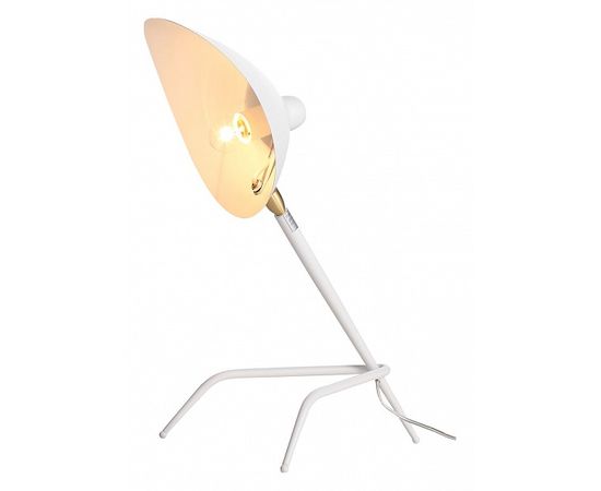  Настольная лампа декоративная Spruzzo SL305.504.01, фото 1 