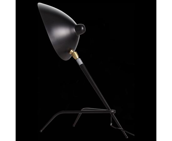  Настольная лампа декоративная Spruzzo SL305.404.01, фото 3 
