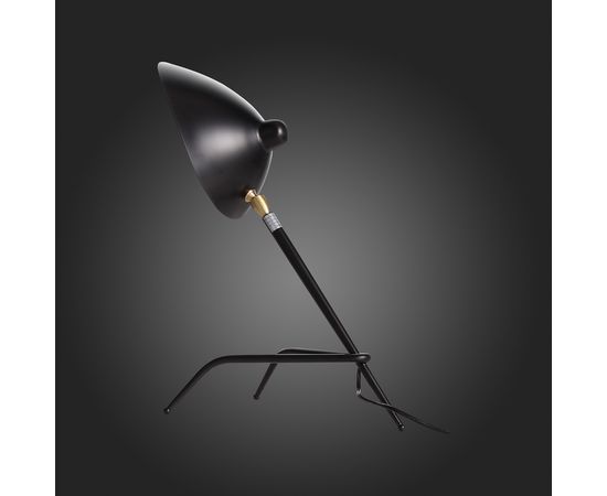  Настольная лампа декоративная Spruzzo SL305.404.01, фото 5 
