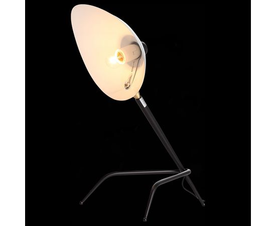  Настольная лампа декоративная Spruzzo SL305.404.01, фото 4 