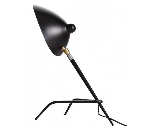  Настольная лампа декоративная Spruzzo SL305.404.01, фото 1 