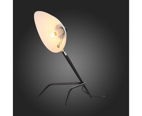  Настольная лампа декоративная Spruzzo SL305.404.01, фото 6 