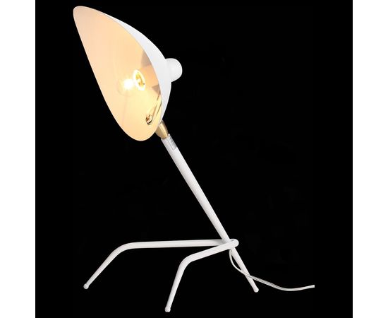  Настольная лампа декоративная Spruzzo SL305.504.01, фото 3 