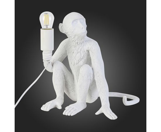  Настольная лампа декоративная Tenato SLE115104-01, фото 5 
